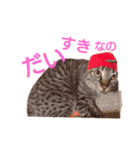 うちの癒しっ仔2（個別スタンプ：2）