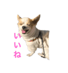 空Kuuのスタンプ（個別スタンプ：2）