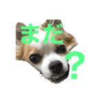 空Kuuのスタンプ（個別スタンプ：3）