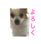 空Kuuのスタンプ（個別スタンプ：4）