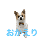空Kuuのスタンプ（個別スタンプ：5）