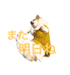 空Kuuのスタンプ（個別スタンプ：6）