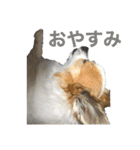 空Kuuのスタンプ（個別スタンプ：7）