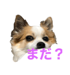 空Kuuのスタンプ（個別スタンプ：10）