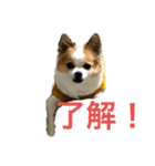 空Kuuのスタンプ（個別スタンプ：13）