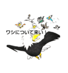 White head eagleワシゃワシゃ（個別スタンプ：10）