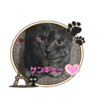 あおりき5（個別スタンプ：1）
