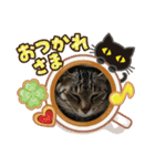あおりき5（個別スタンプ：2）