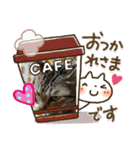 あおりき5（個別スタンプ：6）