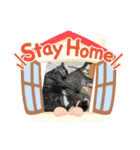 あおりき5（個別スタンプ：7）