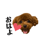 Cheri,love you（個別スタンプ：1）