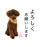 Cheri,love you（個別スタンプ：7）