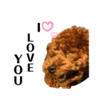 Cheri,love you（個別スタンプ：11）
