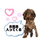 Cheri,love you（個別スタンプ：20）