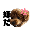 Cheri,love you（個別スタンプ：22）