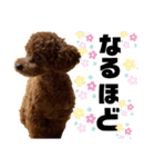 Cheri,love you（個別スタンプ：27）