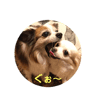 チャタココあるある（個別スタンプ：4）