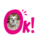 チャタココあるある（個別スタンプ：5）