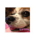 チャタココあるある（個別スタンプ：6）