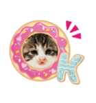 子猫の可愛スタンプ（個別スタンプ：1）