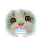子猫の可愛スタンプ（個別スタンプ：7）