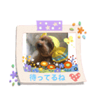 kママの日常の会話（個別スタンプ：3）