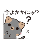 佐賀弁のサビねことすずめ（個別スタンプ：11）