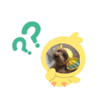 kファミ（個別スタンプ：2）