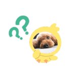 kファミ（個別スタンプ：15）