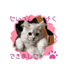 ラブリー！アッシュ君！！（個別スタンプ：3）