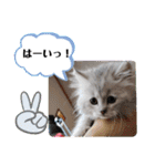 ラブリー！アッシュ君！！（個別スタンプ：5）