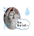 ラブリー！アッシュ君！！（個別スタンプ：8）