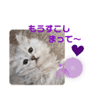 ラブリー！アッシュ君！！（個別スタンプ：11）