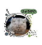 ラブリー！アッシュ君！！（個別スタンプ：14）