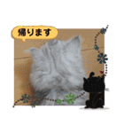 ラブリー！アッシュ君！！（個別スタンプ：20）