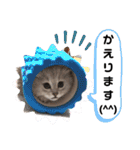 ラブリー！アッシュ君！！（個別スタンプ：21）