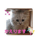 ラブリー！アッシュ君！！（個別スタンプ：22）