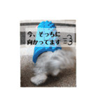 ラブリー！アッシュ君！！（個別スタンプ：24）