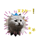 ラブリー！アッシュ君！！（個別スタンプ：26）