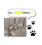 ラブリー！アッシュ君！！（個別スタンプ：27）