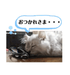 ラブリー！アッシュ君！！（個別スタンプ：32）
