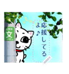 メッセージスタンプ♪白猫のPちゃん☆彡（個別スタンプ：4）