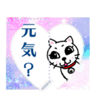 メッセージスタンプ♪白猫のPちゃん☆彡（個別スタンプ：12）
