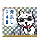 メッセージスタンプ♪白猫のPちゃん☆彡（個別スタンプ：16）