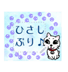 メッセージスタンプ♪白猫のPちゃん☆彡（個別スタンプ：17）