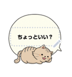 Neko Meong Meong（個別スタンプ：1）