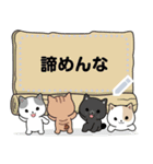 Neko Meong Meong（個別スタンプ：3）