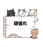 Neko Meong Meong（個別スタンプ：4）