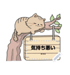 Neko Meong Meong（個別スタンプ：12）