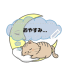 Neko Meong Meong（個別スタンプ：24）